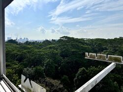 Blk 117 Sunset Way Residence (Clementi), HDB 4 Rooms #596391091